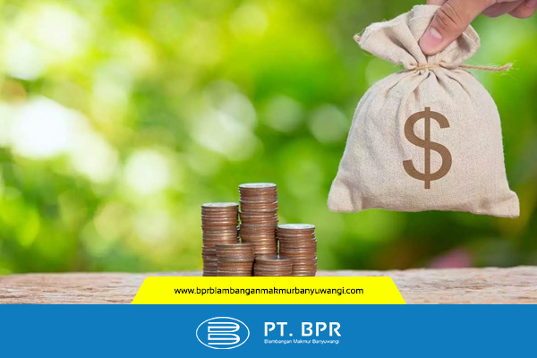 artikel - pt bpr (1)
