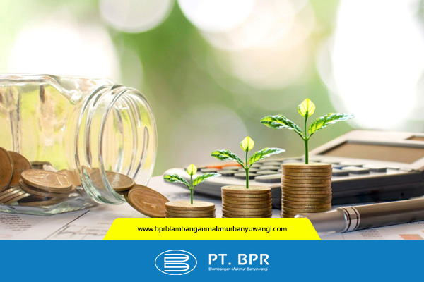 artikel - pt bpr (2)